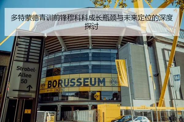 多特蒙德青训前锋穆科科成长瓶颈与未来定位的深度探讨